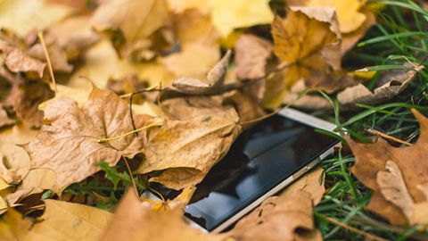 actu_28499_vignette_alaune actu_28499_vignette_alaune