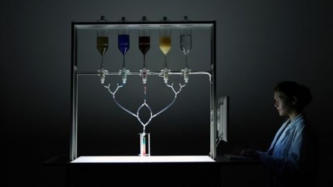 actu_28548_vignette_alaune