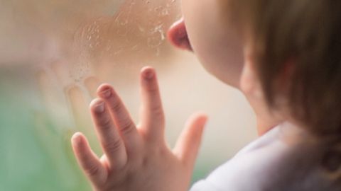 actu_28566_vignette_alaune