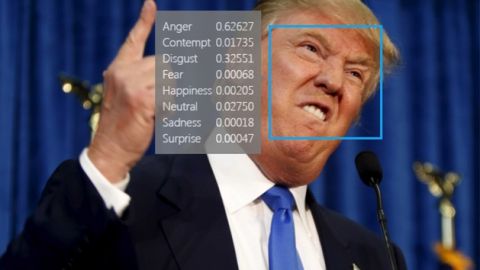 actu_28665_vignette_alaune