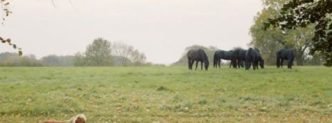 actu_28763_vignette_alaune actu_28763_vignette_alaune