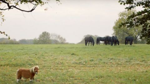 actu_28763_vignette_alaune