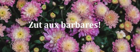 actu_28789_vignette_alaune actu_28789_vignette_alaune