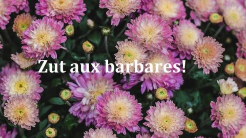 actu_28789_vignette_alaune