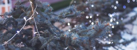 actu_28791_vignette_alaune actu_28791_vignette_alaune