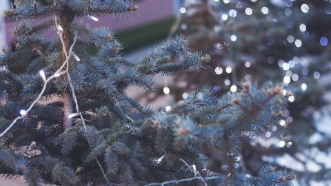 actu_28791_vignette_alaune