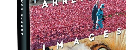 actu_28803_vignette_alaune actu_28803_vignette_alaune