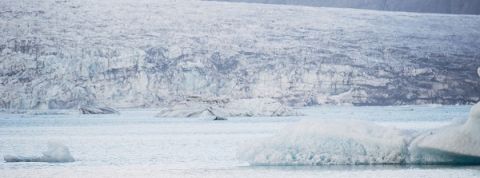 actu_28814_vignette_alaune actu_28814_vignette_alaune