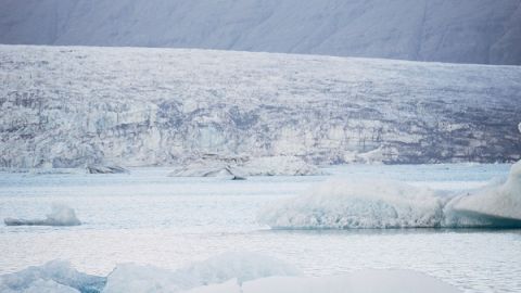 actu_28814_vignette_alaune