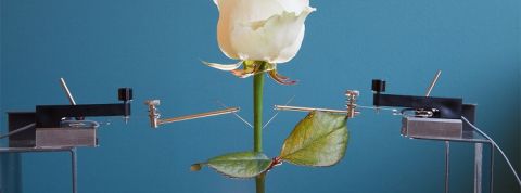 actu_28846_vignette_alaune actu_28846_vignette_alaune