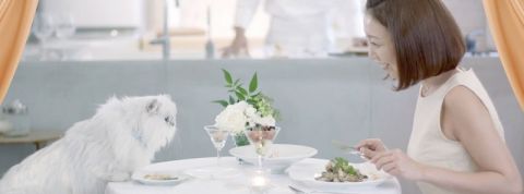 actu_28898_vignette_alaune actu_28898_vignette_alaune