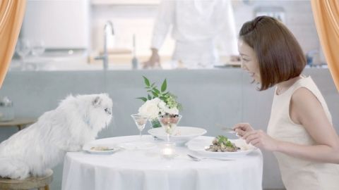 actu_28898_vignette_alaune