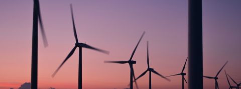 actu_28999_vignette_alaune actu_28999_vignette_alaune