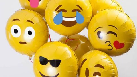 actu_29021_vignette_alaune