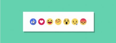 actu_29100_vignette_alaune actu_29100_vignette_alaune