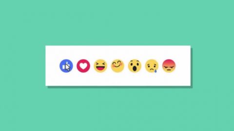 actu_29100_vignette_alaune