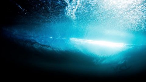 actu_29161_vignette_alaune