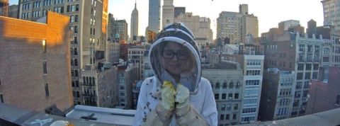 actu_29264_vignette_alaune actu_29264_vignette_alaune