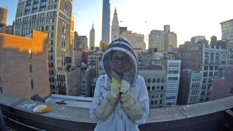 actu_29264_vignette_alaune