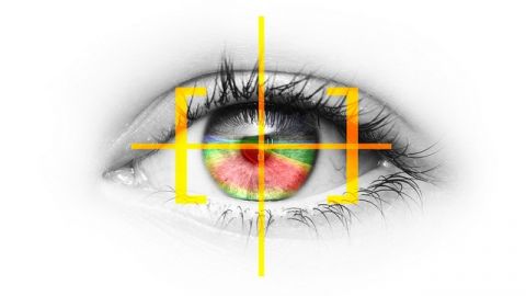 actu_29266_vignette_alaune