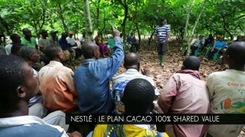 actu_29341_vignette_alaune