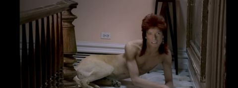 actu_29471_vignette_alaune actu_29471_vignette_alaune