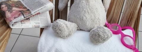 actu_29523_vignette_alaune actu_29523_vignette_alaune