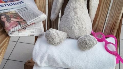 actu_29523_vignette_alaune