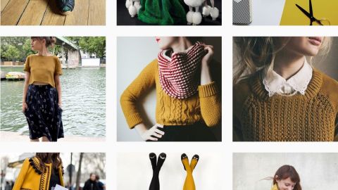 actu_29525_vignette_alaune