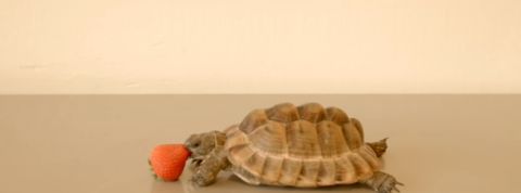 actu_29575_vignette_alaune actu_29575_vignette_alaune