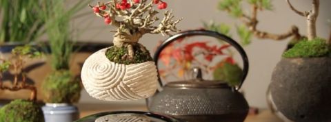 actu_29734_vignette_alaune actu_29734_vignette_alaune