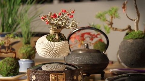 actu_29734_vignette_alaune