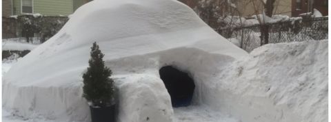 actu_29770_vignette_alaune actu_29770_vignette_alaune