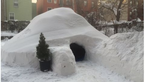 actu_29770_vignette_alaune