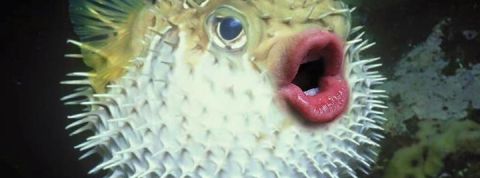 actu_29990_vignette_alaune actu_29990_vignette_alaune