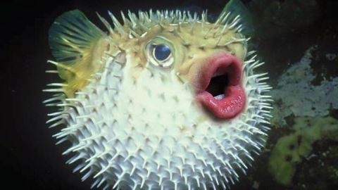 actu_29990_vignette_alaune