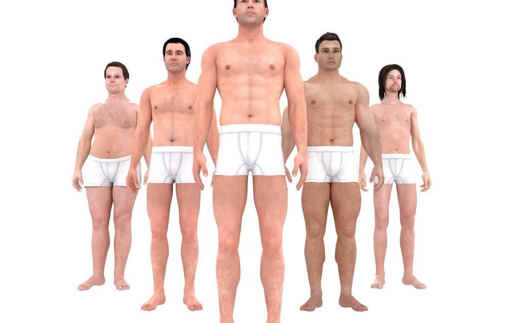 A quoi ressemble le corps de l'homme idéal ? L'ADN A quoi ressemble le corps de l'homme idéal ? L'ADN