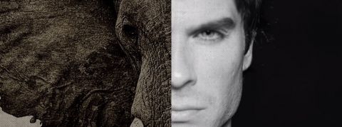 actu_30043_vignette_alaune actu_30043_vignette_alaune