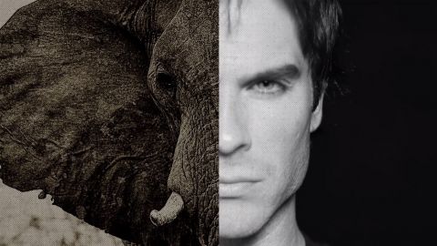 actu_30043_vignette_alaune