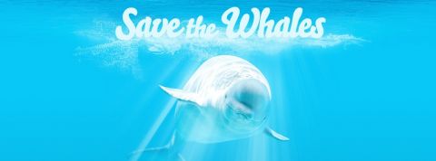 actu_30064_vignette_alaune actu_30064_vignette_alaune