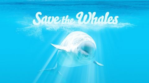 actu_30064_vignette_alaune