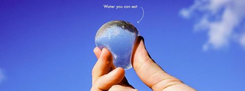 actu_30119_vignette_alaune actu_30119_vignette_alaune