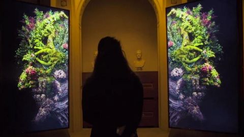 actu_30205_vignette_alaune