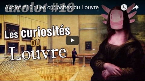 actu_30252_vignette_alaune