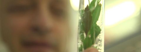 actu_30259_vignette_alaune actu_30259_vignette_alaune