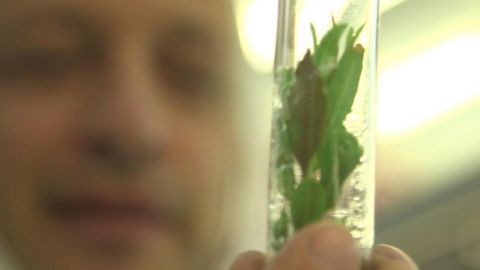 actu_30259_vignette_alaune