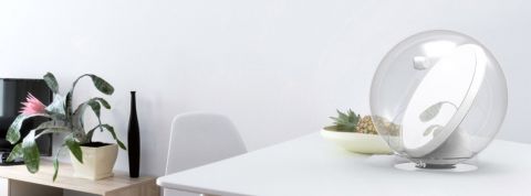 actu_30414_vignette_alaune actu_30414_vignette_alaune