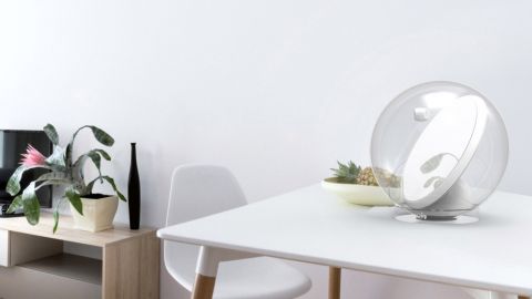 actu_30414_vignette_alaune