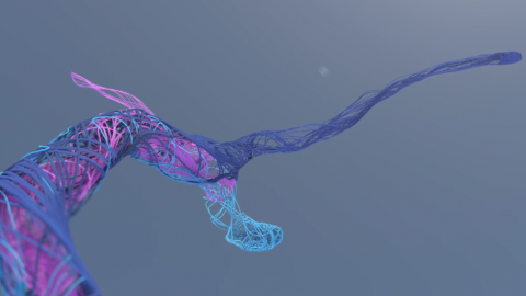 actu_30470_vignette_alaune