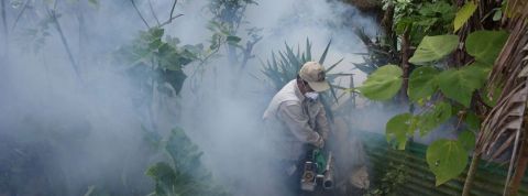 actu_30494_vignette_alaune actu_30494_vignette_alaune